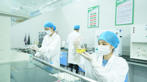 疆果果健康食品研究院獲評(píng)自治區(qū)級(jí)企業(yè)技術(shù)中心，引領(lǐng)健康食品產(chǎn)業(yè)創(chuàng)新發(fā)展